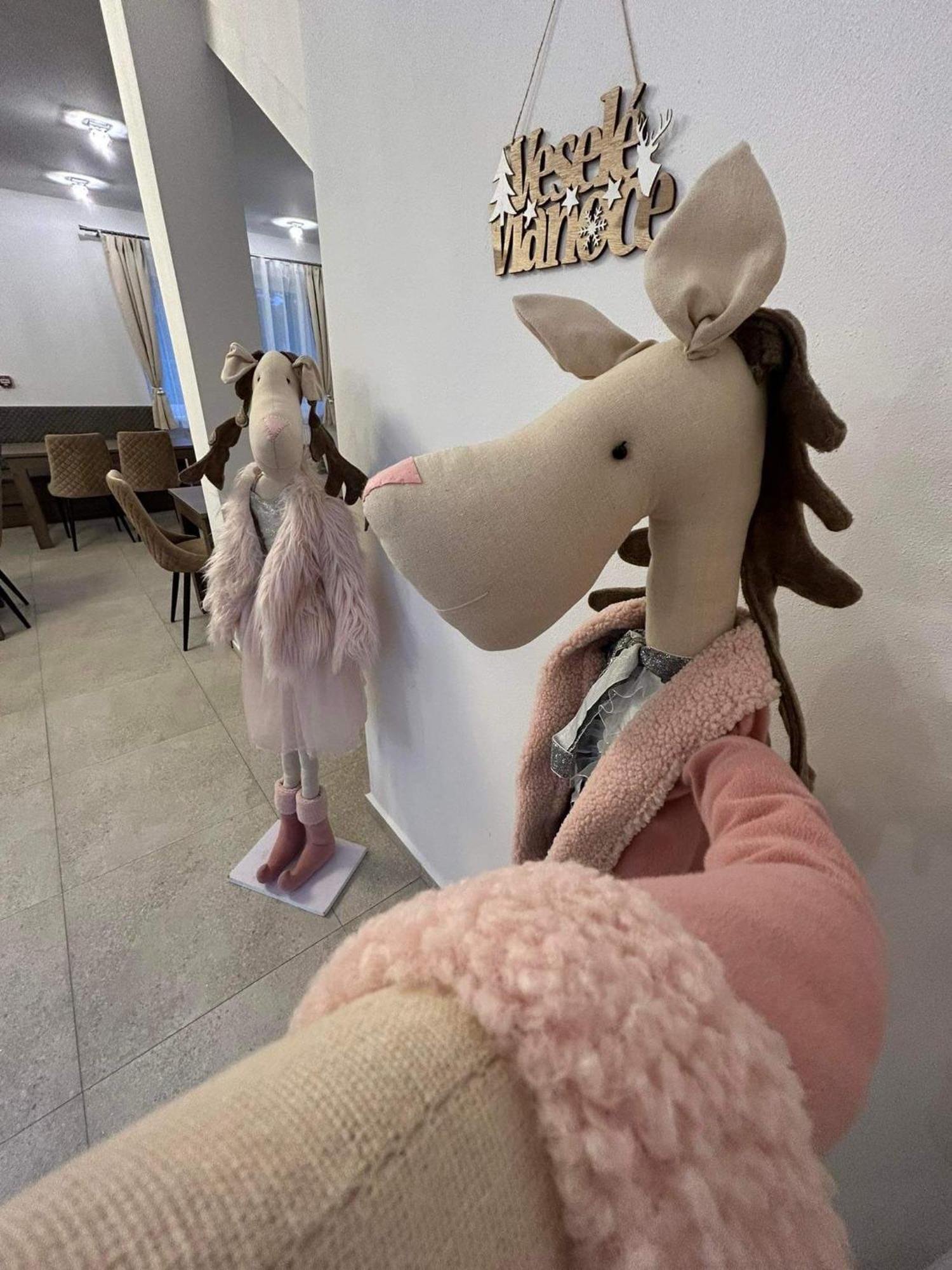 Zafir Otel Dunajská Streda Dış mekan fotoğraf